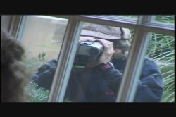 Captura de 'Video Adventures of Peeping Tom 12' nº 133