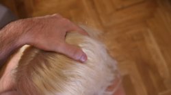 'POV Obsession Vol. 13' screenshot nº 20