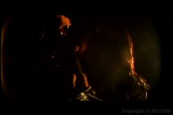 'Teens Goin' Wild 17' screenshot nº 4