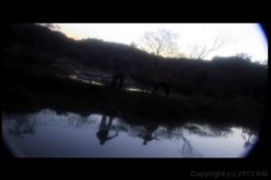 'Teens Goin' Wild 17' screenshot nº 10