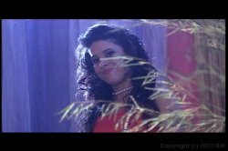 'Teens Goin' Wild 17' screenshot nº 104