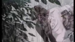 'Sensuous Scenes Of Hollywood' screenshot nº 10