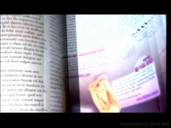 'McKenzie Illustrated' screenshot nº 93
