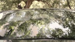 Captura de 'Missing: A Lesbian Crime Story' nº 26