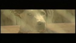 'Wet' screenshot nº 61