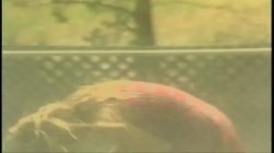 'Wet' screenshot nº 64