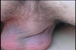 'Jessie's Anal World' screenshot nº 81
