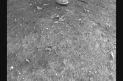 '1 in the Pink 1 in the Stink 9' screenshot nº 34
