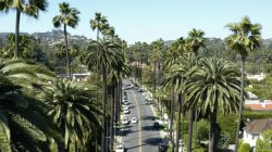 'One Night In Los Angeles' screenshot nº 2