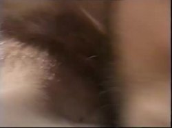 Captura de 'Tinseltown Wives' nº 58