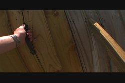 Captura de 'Absolute Asses' nº 4