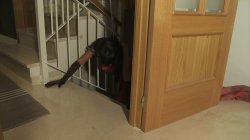 Captura de 'Buscando Inocentes en Madrid' nº 9
