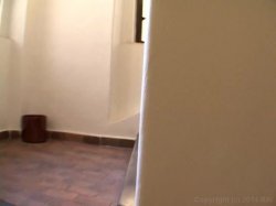 Captura de 'Bush Is Back 2' nº 50