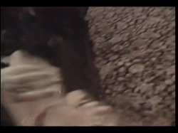 'DeSade' screenshot nº 62