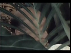 'DeSade' screenshot nº 85