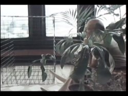 'DeSade' screenshot nº 93