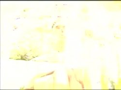 Captura de 'One Big Orgy: The Wedding' nº 1