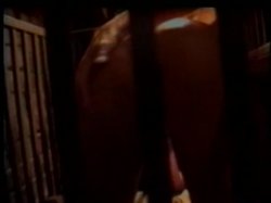 'Dungeon Dykes 2' screenshot nº 14