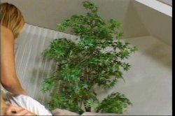 '2 Girls For Every Guy' screenshot nº 6