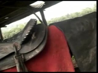 Anal Country Volume 2 - Scène4 - 1