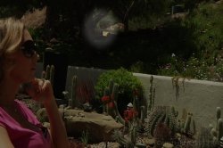 Captura de 'It's a Mommy Thing! 6' nº 1