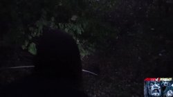 'Horror experience' screenshot nº 108