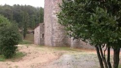 'Mamadas Callejeras' screenshot nº 72