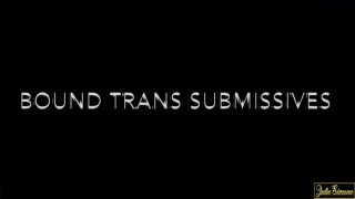 Bound Trans Submissives - Scene1 - 1