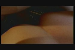 Captura de 'Hairy Honies 6' nº 36