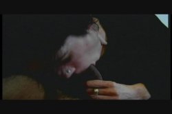 Captura de 'Hairy Honies 6' nº 57