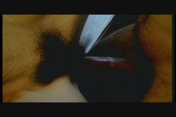 Captura de 'Hairy Honies 6' nº 61