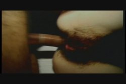 Captura de 'Hairy Honies 6' nº 79