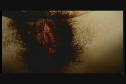 Captura de 'Hairy Honies 6' nº 82