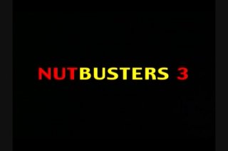 Nut Busters 3 - Scène1 - 1