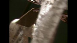 Captura de 'Hard Bound' nº 73