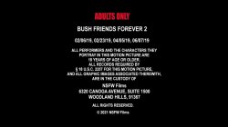 Captura de 'Bush Friends Forever 2' nº 1