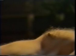 'Return Of The Bimbo' screenshot nº 48