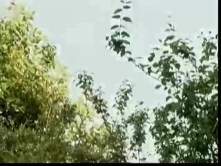 Gierige Mauler - Scene3 - 6