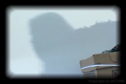 Captura de 'American Cream Pie 2' nº 6