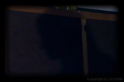Captura de 'American Cream Pie 2' nº 130