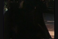 Captura de 'The Best Of Classic Girl On Girl' nº 54