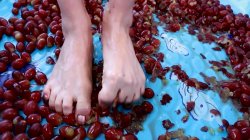 Captura de 'Barefoot Confidential 99' nº 111
