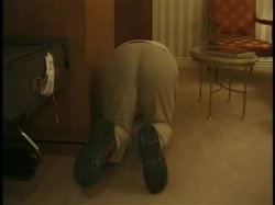 'Mr. Beaver Checks In #4' screenshot nº 67