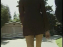 'Mr. Beaver Checks In #4' screenshot nº 124