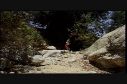Captura de 'Puritan Video Magazine 4' nº 40