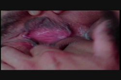 Captura de 'Puritan Video Magazine 5' nº 64