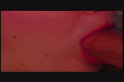Captura de 'Puritan Video Magazine 5' nº 109