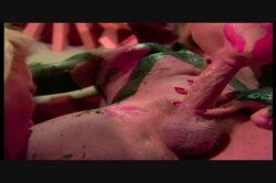 Captura de 'Puritan Video Magazine 5' nº 13