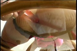 Captura de 'Fuckey Fuckey My Asian Ass' nº 110