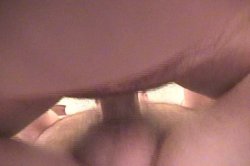'ATK Pregnant Amateurs' screenshot nº 105